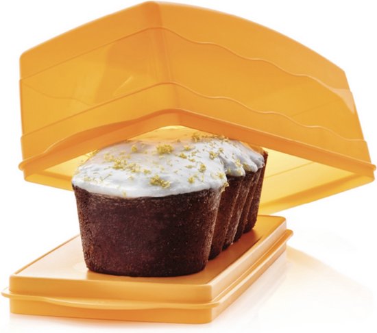 Tupperware Trendy Cake Box Oranje - Boîte de rangement rectangulaire pour gâteaux