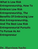 What Is Low Risk Entrepreneurship, How To Embrace Low Risk Entrepreneurship, The Benefits Of Embracing Low Risk Entrepreneurship, And The Best Low Risk Entrepreneurial Pursuits To Pursue As An Entrepreneur
