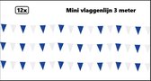 12x Mini vlaggenlijn blauw/wit 3 meter - 10cm x 15cm - Festival thema feest party verjaardag gala vlag lijn