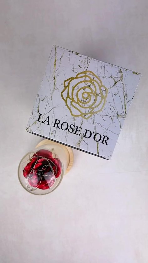 Gomyhom Rozencadeau Voor Vrouwen, Opvallende Cadeaus Voor Vrouwen Vriendin Moeder Oma Gouden 24 Karaats Roos Met Tekst Ich Liebe Dich Cadeau Voor Valentijnsdag Moederdag Verjaardag Trouwdag Ke