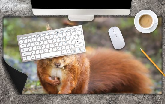 Bureau onderlegger - Nieuwsgierige Rode Eekhoorn op een Steen - 80x40