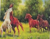 Diamond Painting Volwassenen - Paarden - 40x50cm - Ronde Steentjes