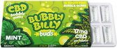 5 x Bubbly Billy Buds CBD 17mg Kauwgom Peppermint (x24)