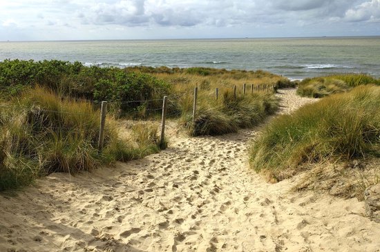 Tuinposter - Zee - Strand in wit / zwart / bruin / blauw / groen - 160 x 240 cm.