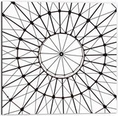 Dibond - Cirkels met Zwarte Lijnen erin Die Figuren Vormen - 50x50 cm Foto op Aluminium (Wanddecoratie van metaal)