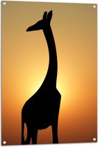 Tuinposter – Silhouet van Opzijkijkende Giraffe tijdens Zonsondergang - 70x105 cm Foto op Tuinposter (wanddecoratie voor buiten en binnen)