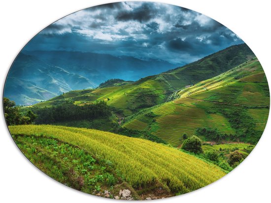 Dibond Ovaal - Rijstvelden in de Bergen van Indonesië - 108x81 cm Foto op Ovaal (Met Ophangsysteem)
