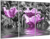 Glasschilderij Tulpen - Zwart, Paars, Grijs - 120x80cm 3Luik - Foto Op Glas - Geen Acrylglas Schilderij - GroepArt 6000+ Glas Art Collectie - Maatwerk Mogelijk