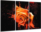 Glasschilderij Roos - Oranje, Zwart - 120x80cm 3Luik - Foto Op Glas - Geen Acrylglas Schilderij - GroepArt 6000+ Glas Art Collectie - Maatwerk Mogelijk