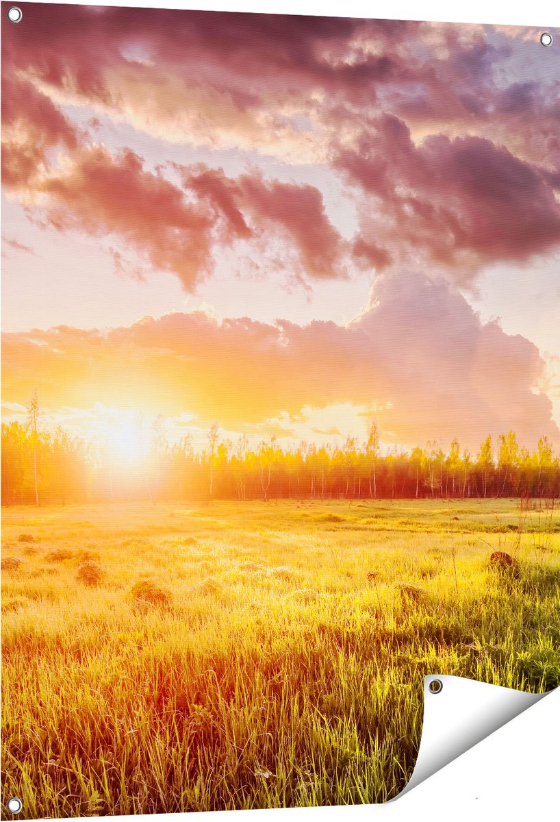 Gards Tuinposter Zonsopkomst in het Veld - 80x100 cm - Tuindoek - Tuindecoratie - Wanddecoratie buiten - Tuinschilderij Multikleur