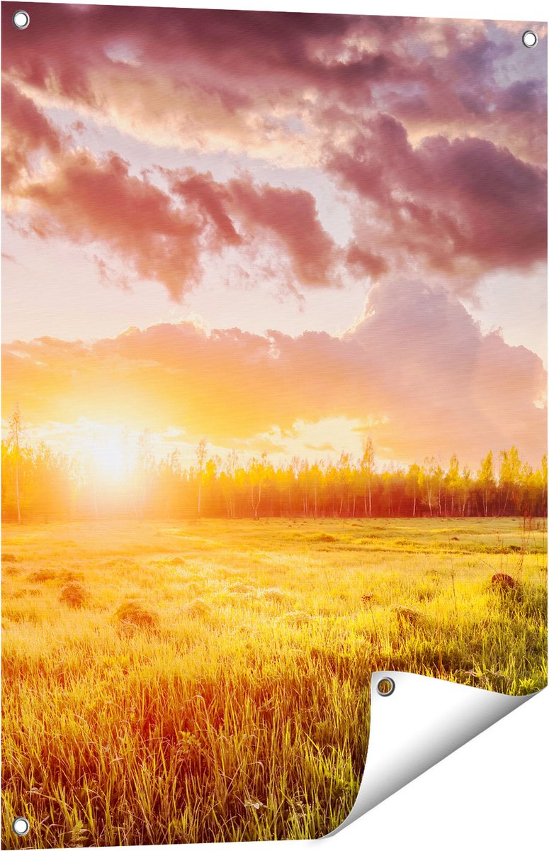 Gards Tuinposter Zonsopkomst in het Veld - 60x80 cm - Tuindoek - Tuindecoratie - Wanddecoratie buiten - Tuinschilderij Multikleur