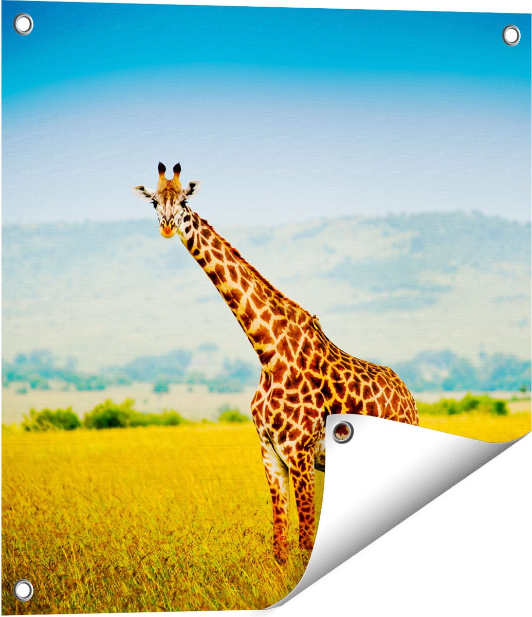 Gards Tuinposter Giraffe in het Veld - 50x50 cm - Tuindoek - Tuindecoratie - Wanddecoratie buiten - Tuinschilderij Multikleur