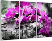 Peinture sur verre d'orchidée | Violet, gris, blanc | 120x80cm 3 Liège | Tirage photo sur verre |  F004786