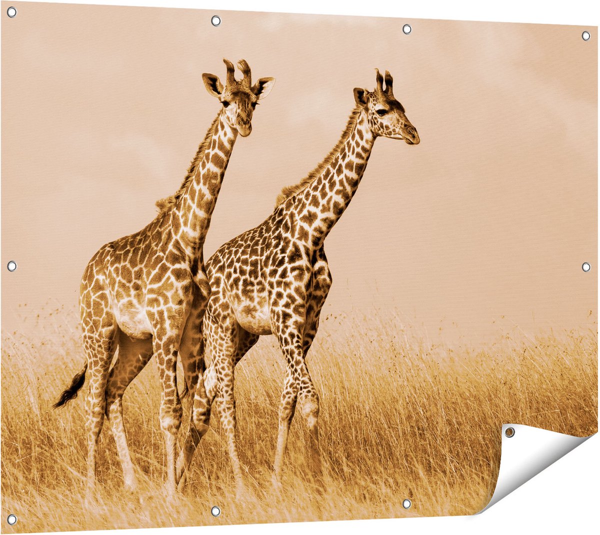Gards Tuinposter Twee Giraffes in het Veld - 120x90 cm - Tuindoek - Tuindecoratie - Wanddecoratie buiten - Tuinschilderij Multikleur