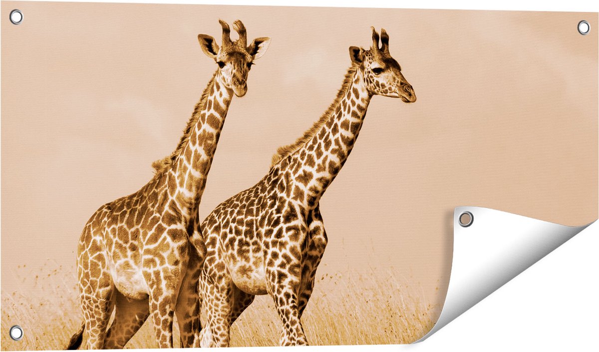 Gards Tuinposter Twee Giraffes in het Veld - 80x40 cm - Tuindoek - Tuindecoratie - Wanddecoratie buiten - Tuinschilderij Multikleur