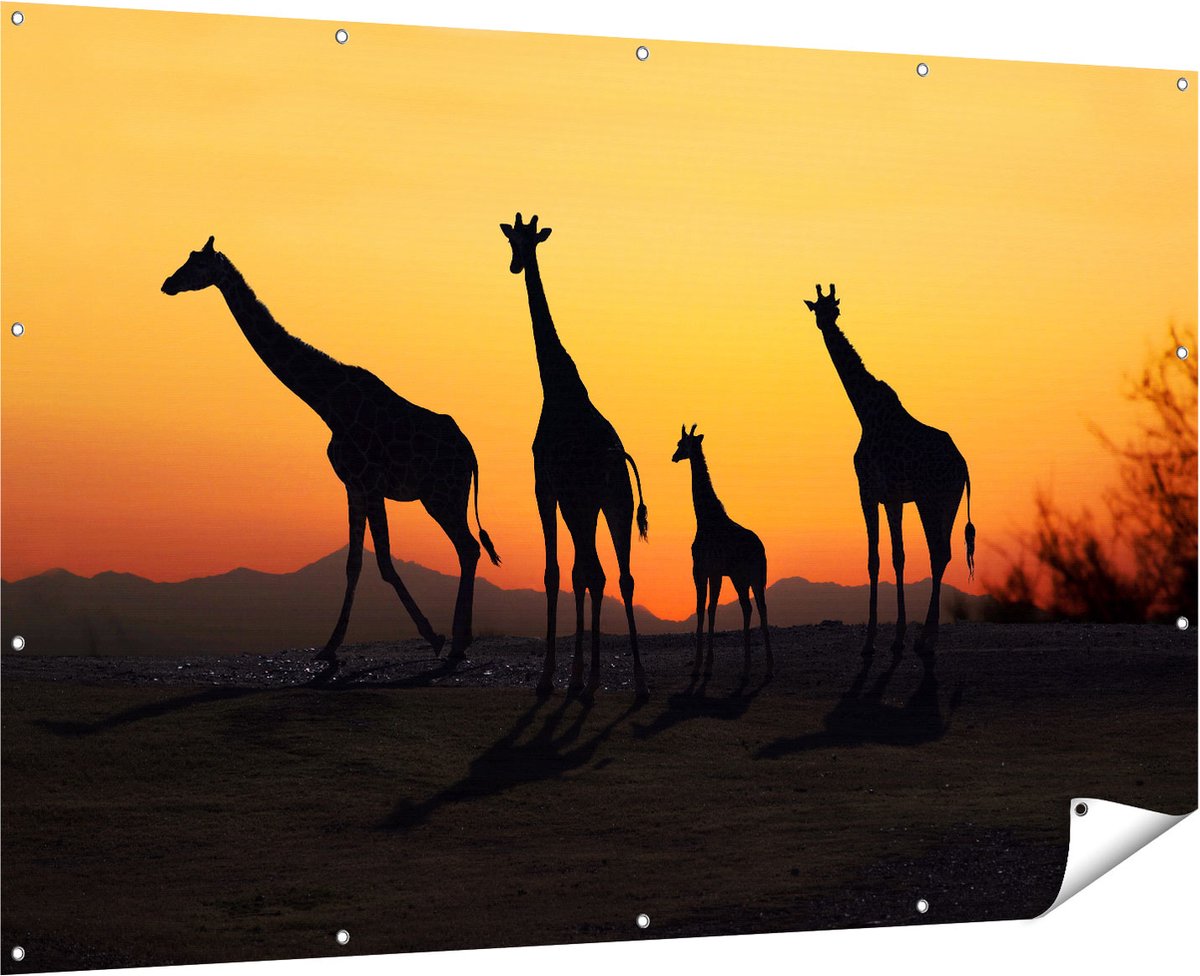 Gards Tuinposter Vier Giraffe Silhouetten bij Zonsondergang - 180x120 cm - Tuindoek - Tuindecoratie - Wanddecoratie buiten - Tuinschilderij Multikleur