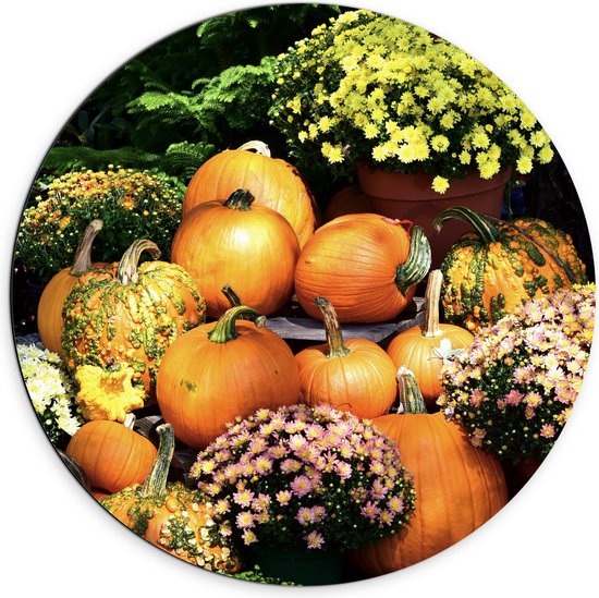 Ronde muurcirkel met diverse oranje pompoenen, sierkalebassen en gele en roze chrysanten.