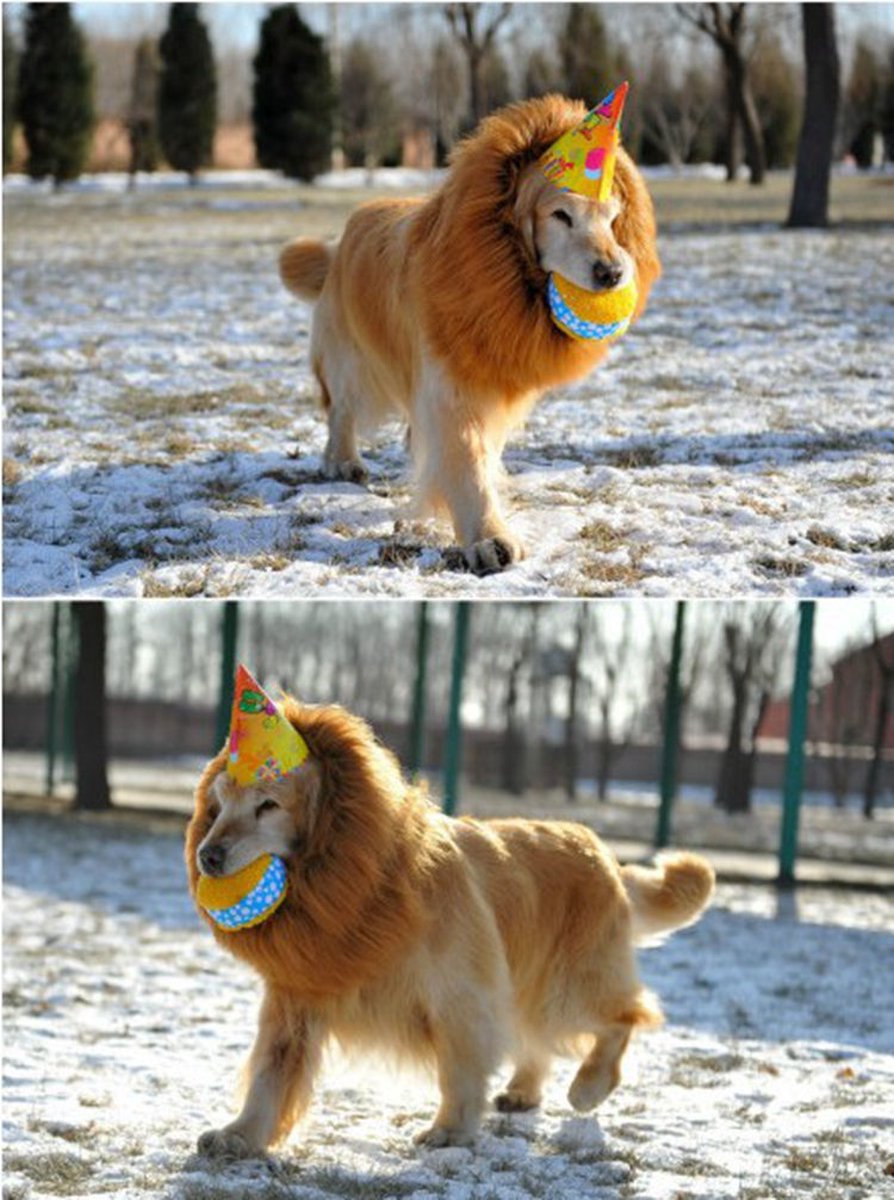 Lion Mane Huisdier Hoofddeksel, Poedel Kostuum Verstelbare Leeuw Pruik Met Oren Halloween Party Decoraties Voor Middelgrotegrote Honden Grote Hond Halloween Kostuum P