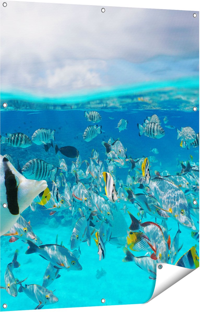 Gards Tuinposter Zwerm Gele Vissen in het Water - 90x120 cm - Tuindoek - Tuindecoratie - Wanddecoratie buiten - Tuinschilderij Multikleur