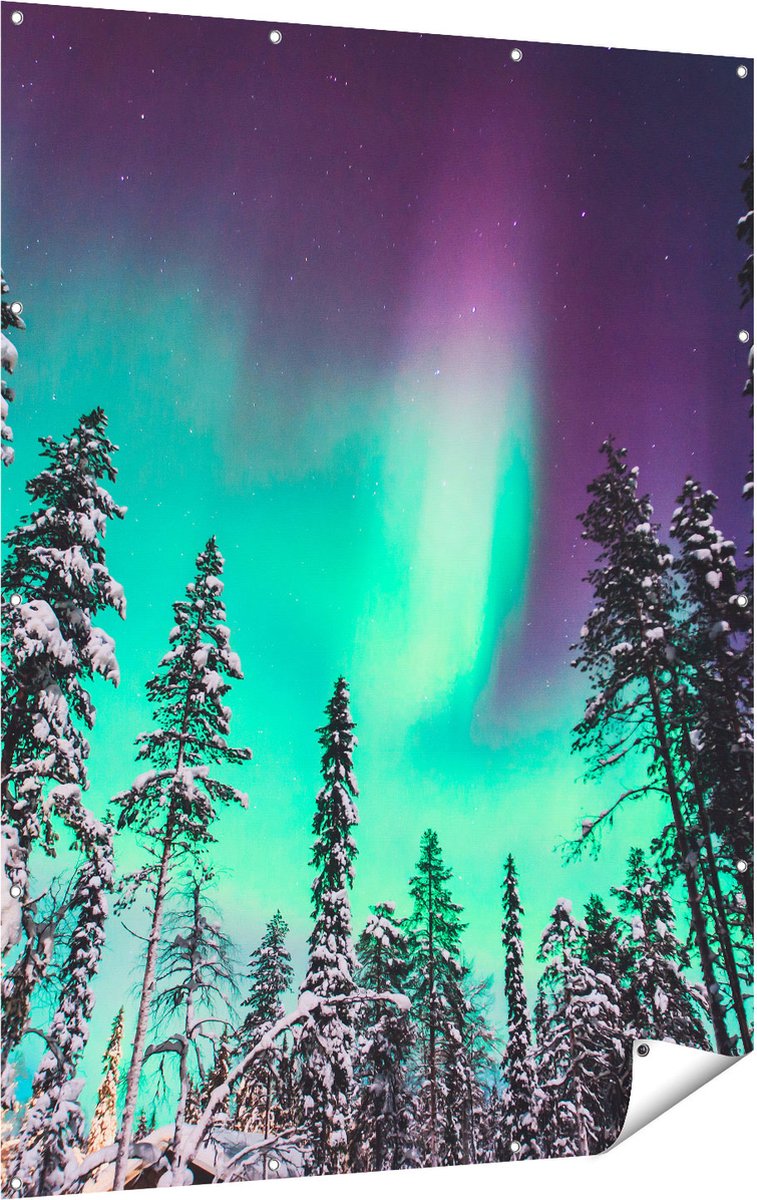 Gards Tuinposter Noorderlicht in de Bossen van Noorwegen - 120x160 cm - Tuindoek - Tuindecoratie - Wanddecoratie buiten - Tuinschilderij Multikleur