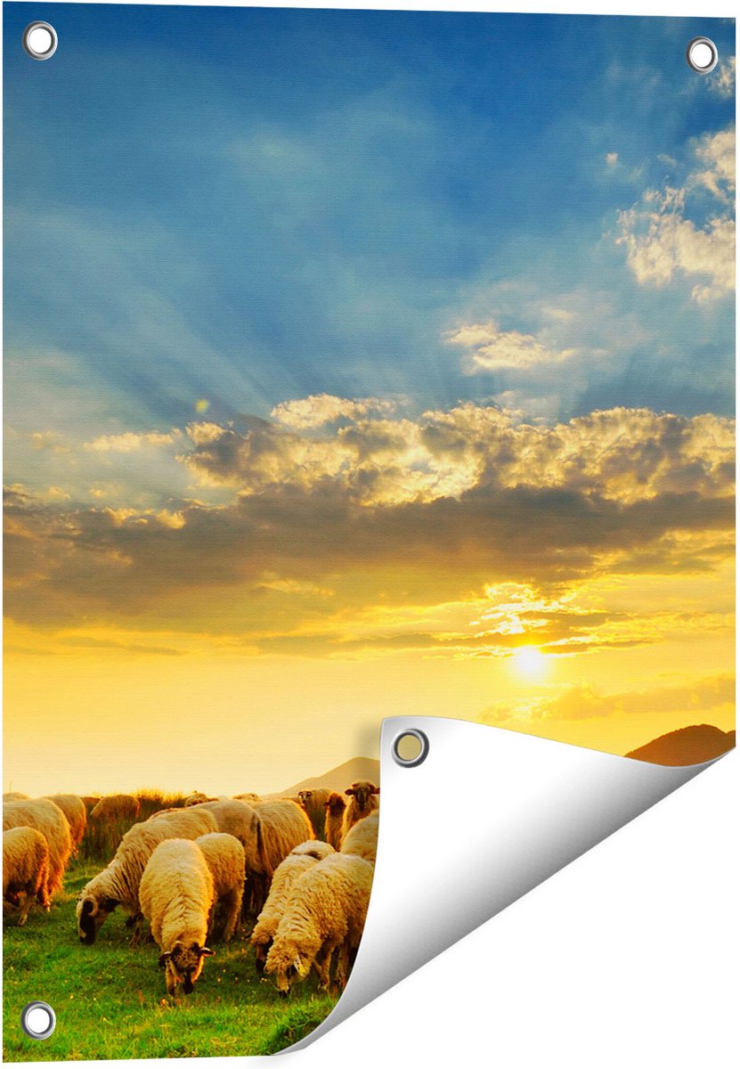 Gards Tuinposter Kudde Schapen op het Gras bij Zonsondergang - 40x50 cm - Tuindoek - Tuindecoratie - Wanddecoratie buiten - Tuinschilderij Multikleur