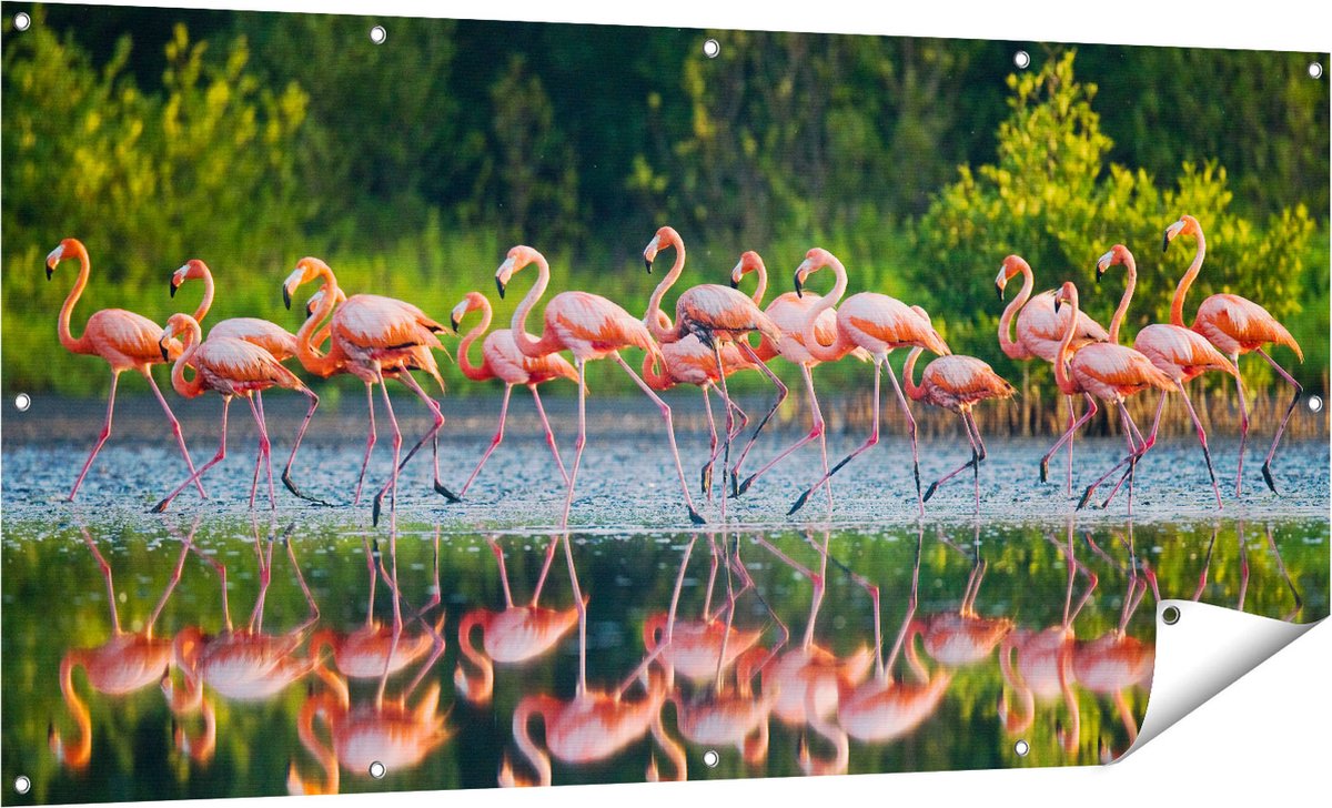 Gards Tuinposter Kudde Flamingo's op het Water - 160x80 cm - Tuindoek - Tuindecoratie - Wanddecoratie buiten - Tuinschilderij Multikleur