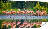 Gards Tuinposter Kudde Flamingo's op het Water - 160x80 cm - Tuindoek - Tuindecoratie - Wanddecoratie buiten - Tuinschilderij