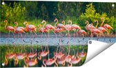 Gards Tuinposter Kudde Flamingo's op het Water - 80x40 cm - Tuindoek - Tuindecoratie - Wanddecoratie buiten - Tuinschilderij