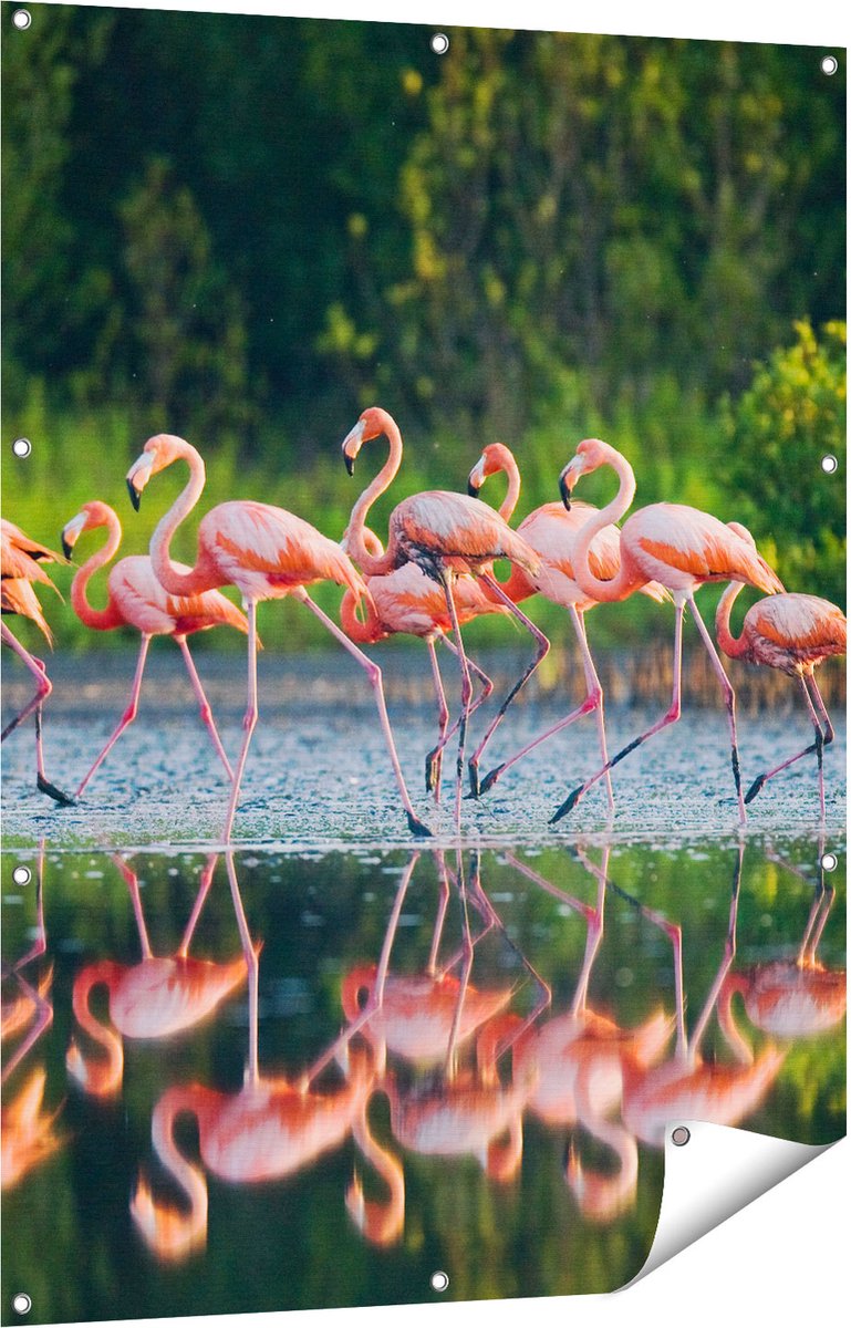 Gards Tuinposter Kudde Flamingo's op het Water - 90x120 cm - Tuindoek - Tuindecoratie - Wanddecoratie buiten - Tuinschilderij Multikleur