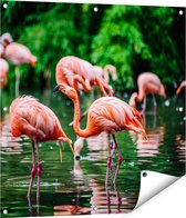 Gards Tuinposter Kudde Flamingo's in de Jungle in het Water - 80x80 cm - Tuindoek - Tuindecoratie - Wanddecoratie buiten - Tuinschilderij