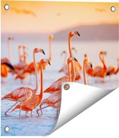 Gards Tuinposter Kudde Flamingo's in het Water - 40x40 cm - Tuindoek - Tuindecoratie - Wanddecoratie buiten - Tuinschilderij