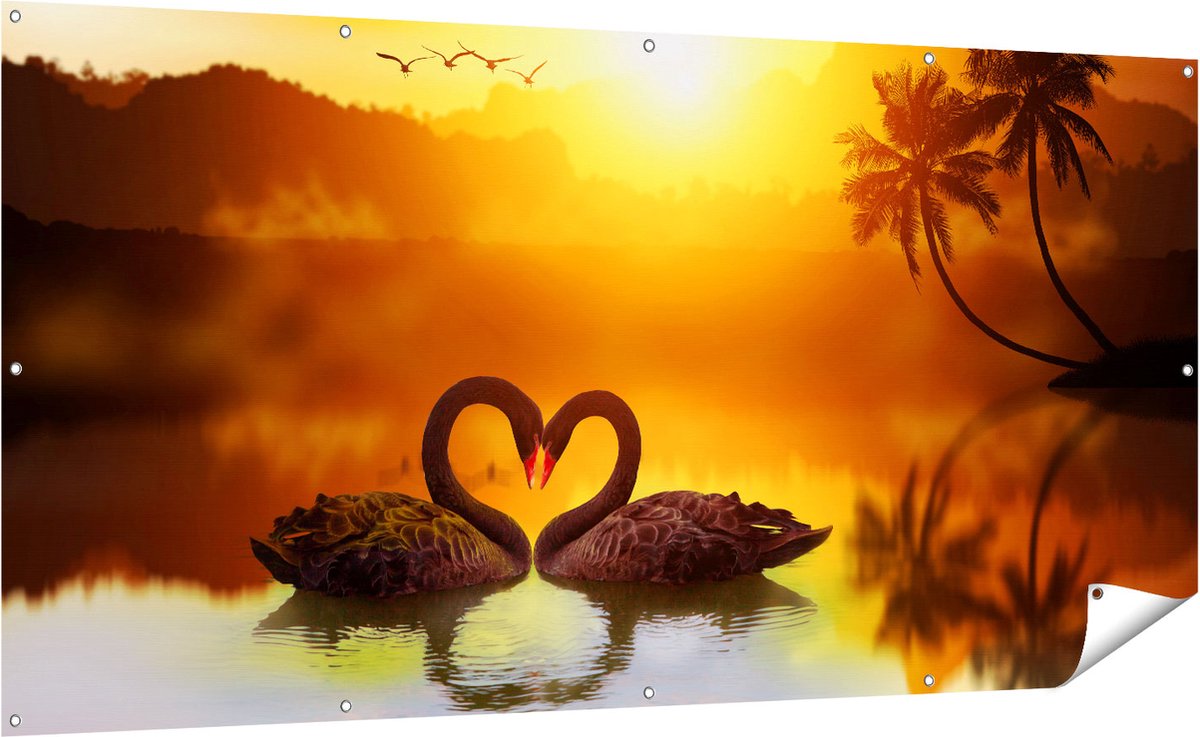 Gards Tuinposter Twee Zwarte Zwanen in een Hart Vorm - 200x100 cm - Tuindoek - Tuindecoratie - Wanddecoratie buiten - Tuinschilderij Multikleur