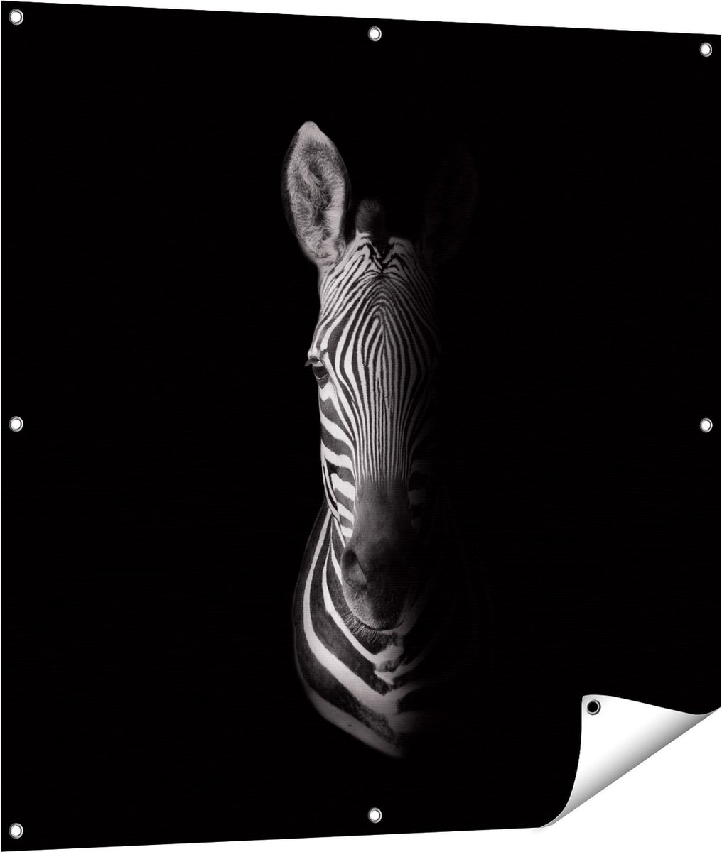 Gards Tuinposter Halve Zebra - Zwart Wit - 100x100 cm - Tuindoek - Tuindecoratie - Wanddecoratie buiten - Tuinschilderij Multikleur