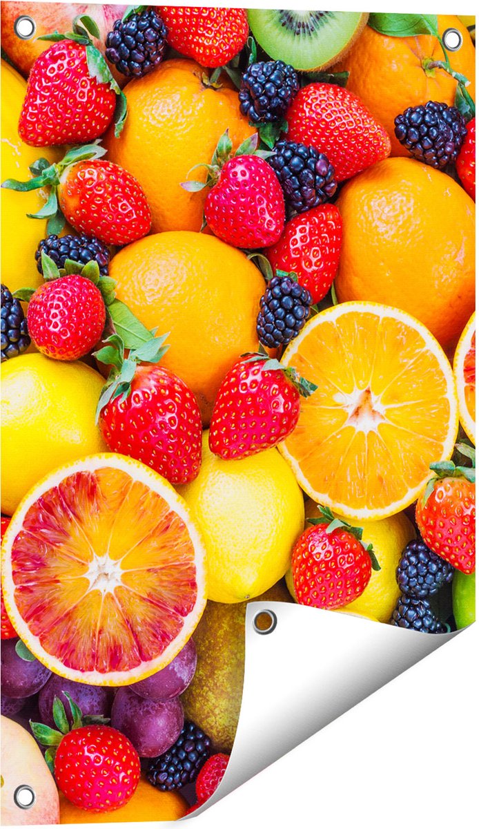 Gards Tuinposter Kleurrijke Fruit Achtergrond - 40x60 cm - Tuindoek - Tuindecoratie - Wanddecoratie buiten - Tuinschilderij Multikleur