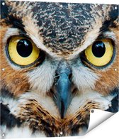 Gards Poster de jardin Tête de Hibou aux yeux dorés - 80x80 cm - Toile de jardin - Décoration de jardin - Décoration murale extérieur - Tableau de jardin