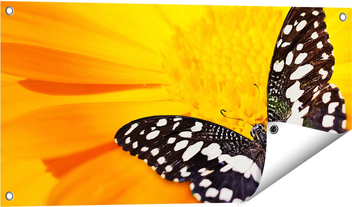Gards Tuinposter Vlinder op een Oranje Bloem - 80x40 cm - Tuindoek - Tuindecoratie - Wanddecoratie buiten - Tuinschilderij Multikleur