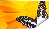 Gards Tuinposter Vlinder op een Oranje Bloem - 80x40 cm - Tuindoek - Tuindecoratie - Wanddecoratie buiten - Tuinschilderij