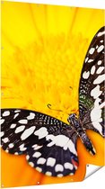 Gards Tuinposter Vlinder op een Oranje Bloem - 120x180 cm - Tuindoek - Tuindecoratie - Wanddecoratie buiten - Tuinschilderij