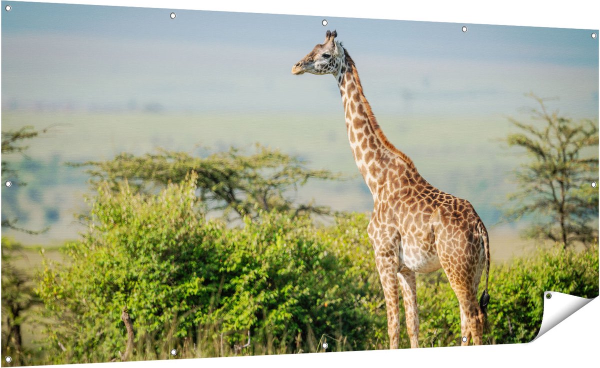 Gards Tuinposter Giraffe in het Wild tussen de Struiken - 200x100 cm - Tuindoek - Tuindecoratie - Wanddecoratie buiten - Tuinschilderij Multikleur