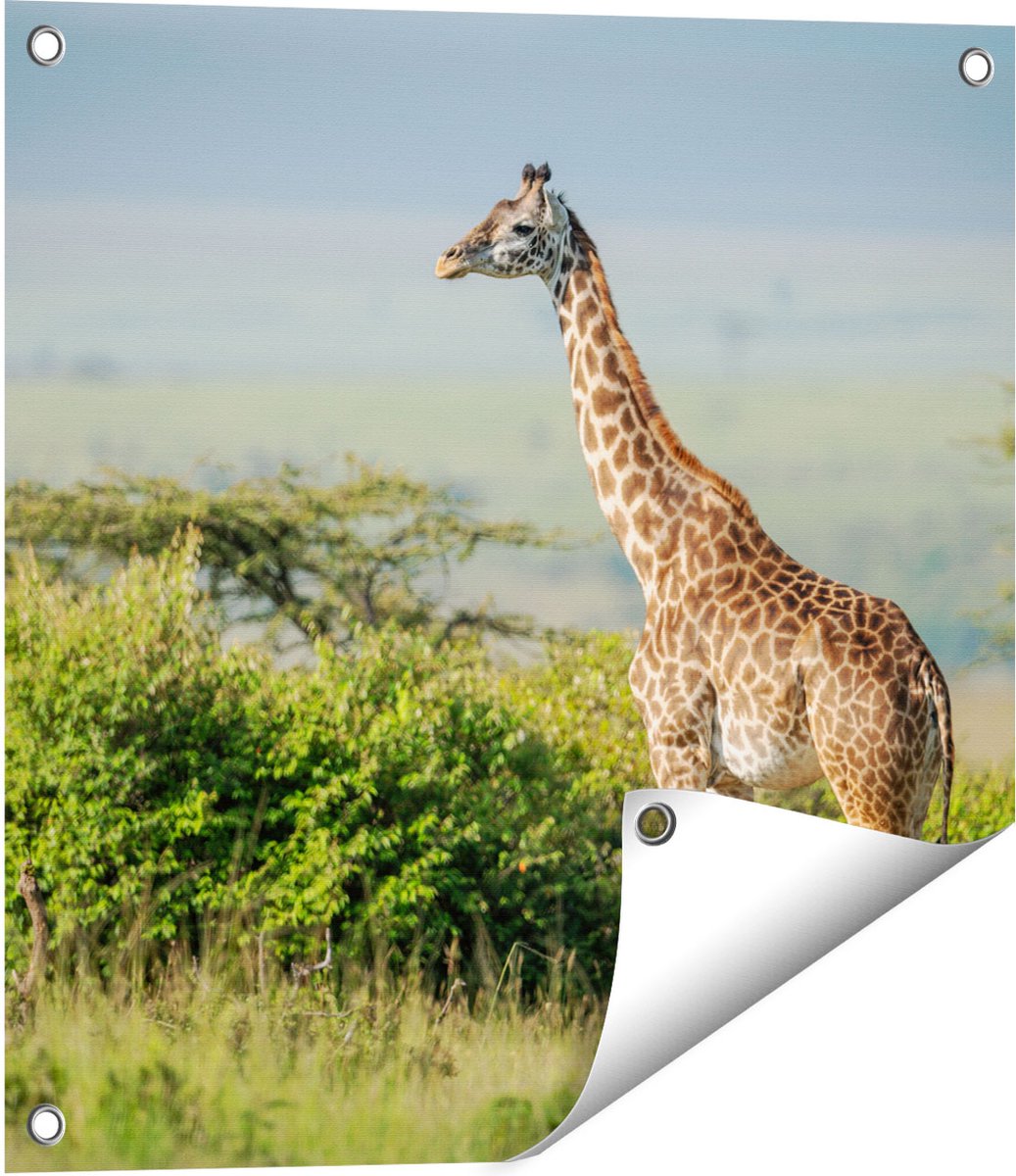Gards Tuinposter Giraffe in het Wild tussen de Struiken - 50x50 cm - Tuindoek - Tuindecoratie - Wanddecoratie buiten - Tuinschilderij Multikleur