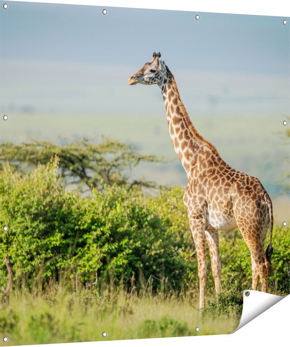 Gards Tuinposter Giraffe in het Wild tussen de Struiken - 120x120 cm - Tuindoek - Tuindecoratie - Wanddecoratie buiten - Tuinschilderij Multikleur