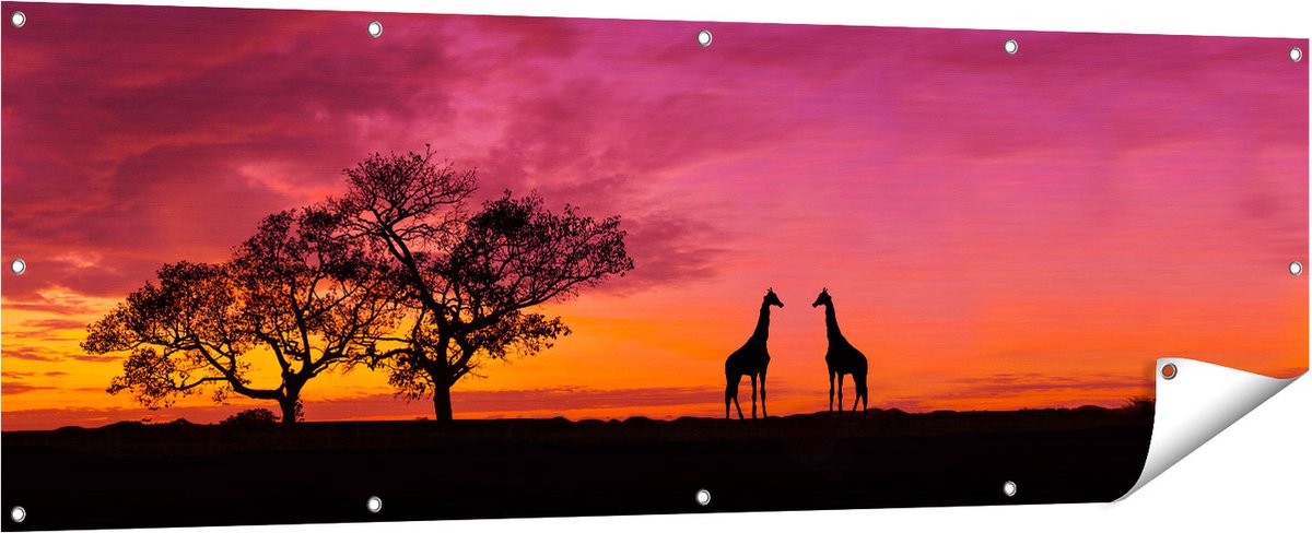 Gards Tuinposter Twee Giraffe Silhouetten bij Zonsondergang - 180x60 cm - Tuindoek - Tuindecoratie - Wanddecoratie buiten - Tuinschilderij Multikleur