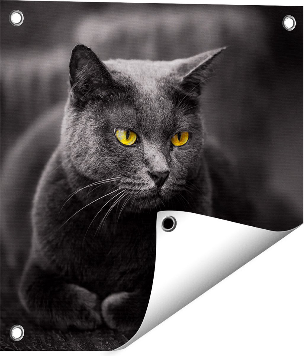 Gards Tuinposter Zwarte Kat met Gele Ogen - 40x40 cm - Tuindoek - Tuindecoratie - Wanddecoratie buiten - Tuinschilderij Multikleur