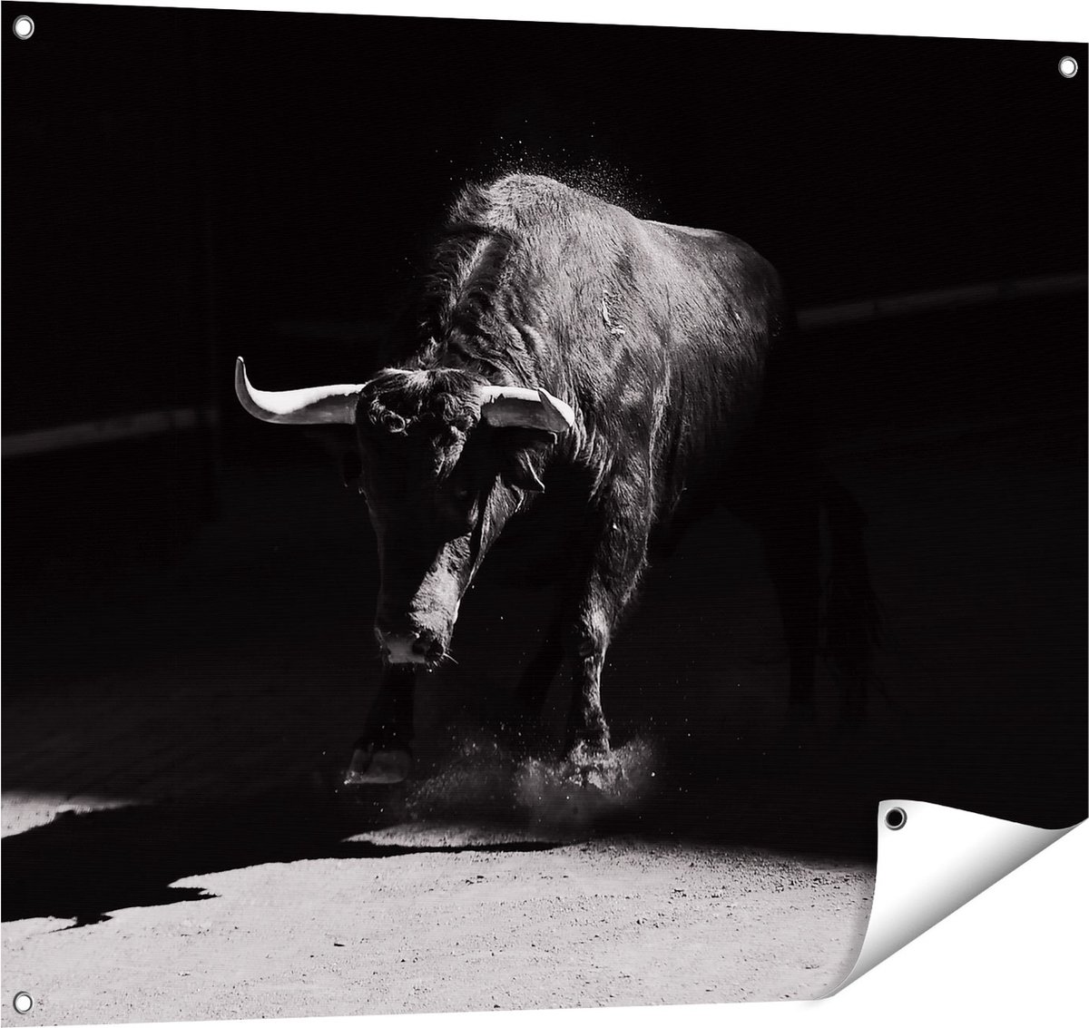 Gards Tuinposter Stier in de Arena - Zwart Wit - 100x80 cm - Tuindoek - Tuindecoratie - Wanddecoratie buiten - Tuinschilderij Multikleur