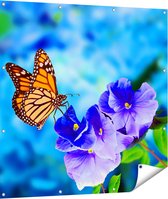 Gards Tuinposter Oranje Vlinder bij Paarse Bloemen - 110x110 cm - Tuindoek - Tuindecoratie - Wanddecoratie buiten - Tuinschilderij