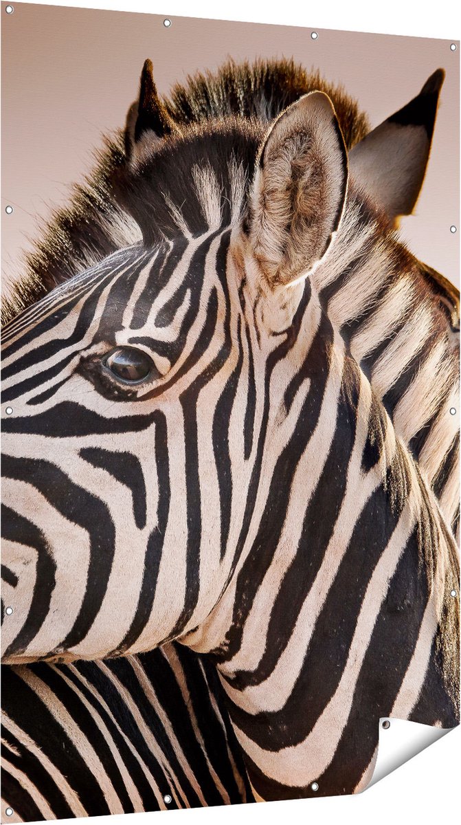 Gards Tuinposter Twee Knuffelende Zebra's - 120x180 cm - Tuindoek - Tuindecoratie - Wanddecoratie buiten - Tuinschilderij Multikleur