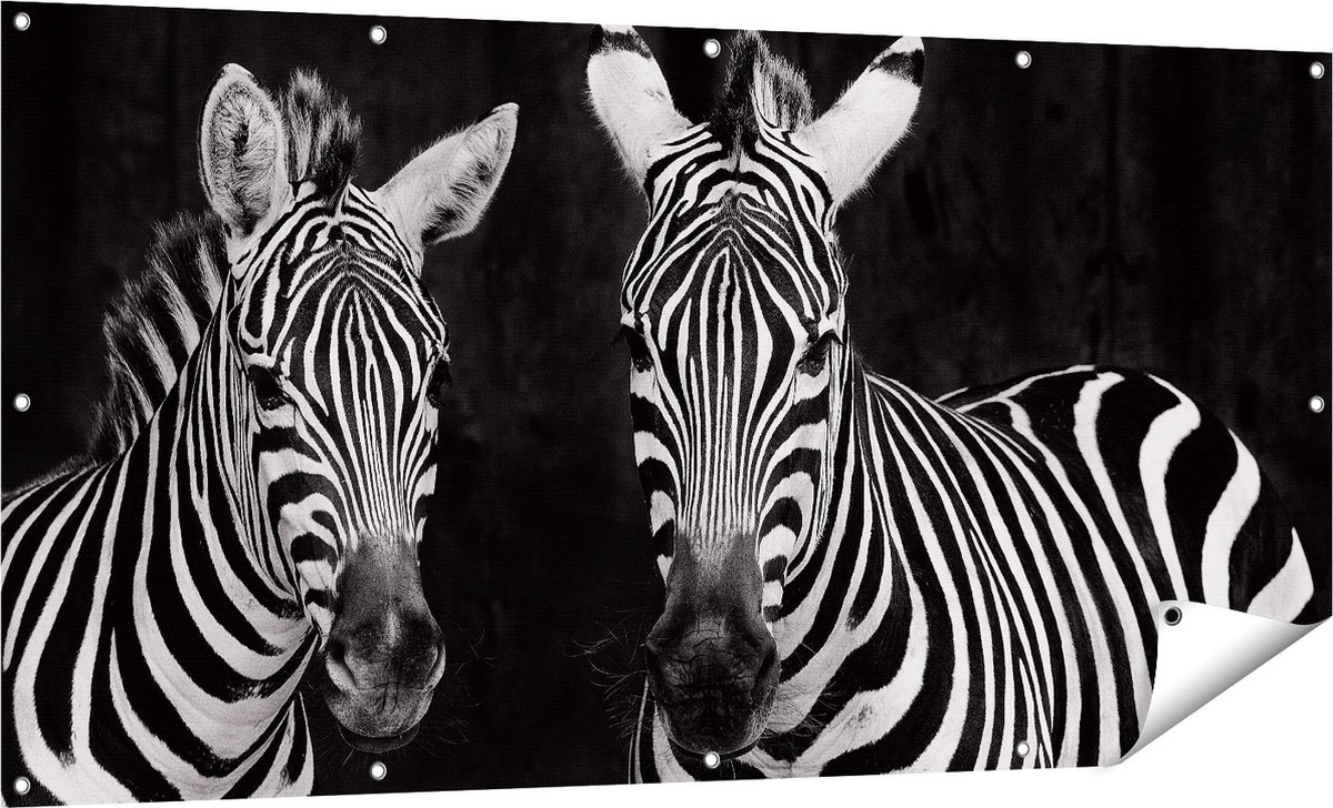 Gards Tuinposter Twee Zebra's - Zwart Wit - 160x80 cm - Tuindoek - Tuindecoratie - Wanddecoratie buiten - Tuinschilderij Multikleur
