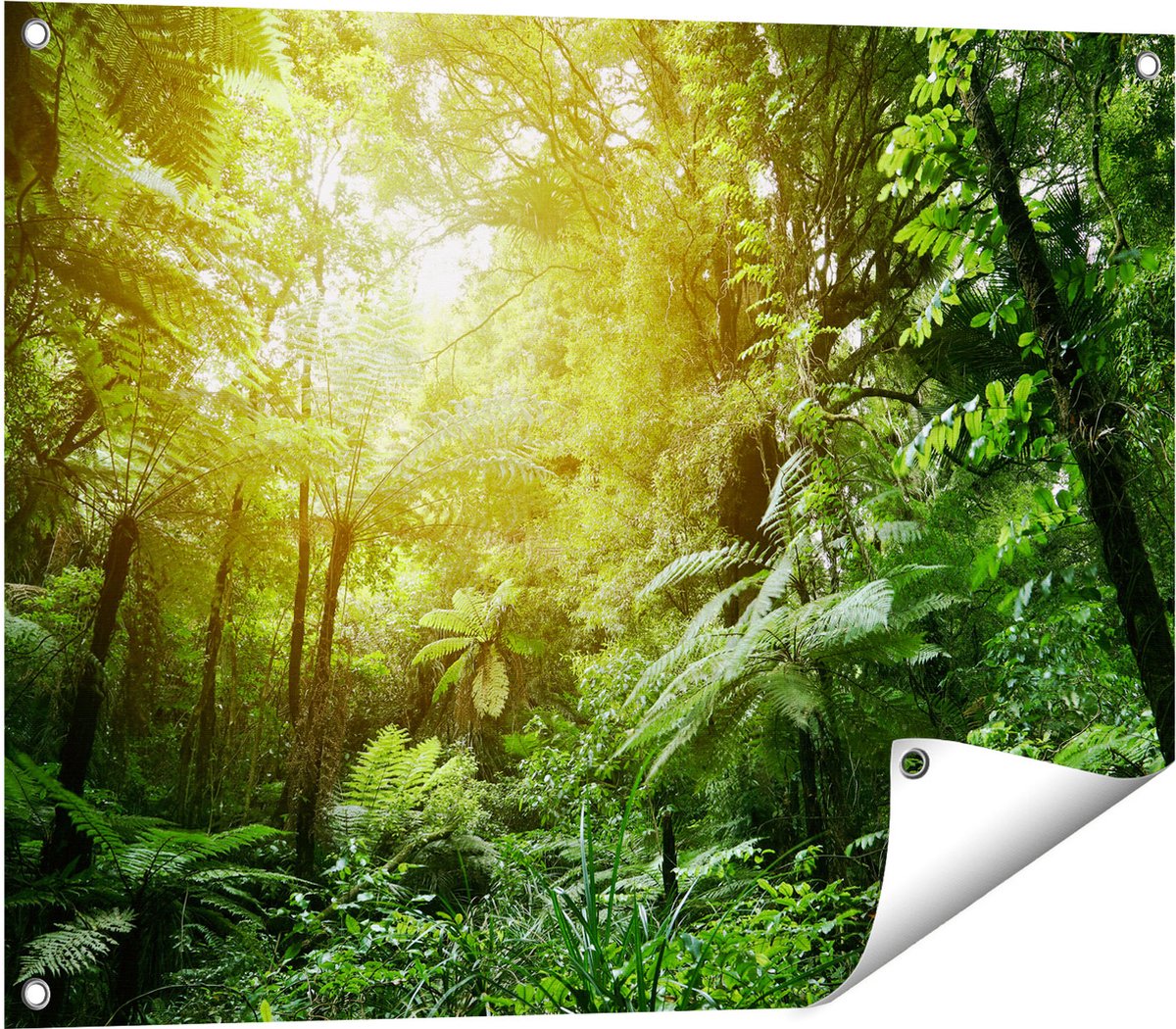 Gards Tuinposter Tropische Jungle met Zonneschijn - 80x60 cm - Tuindoek - Tuindecoratie - Wanddecoratie buiten - Tuinschilderij Multikleur