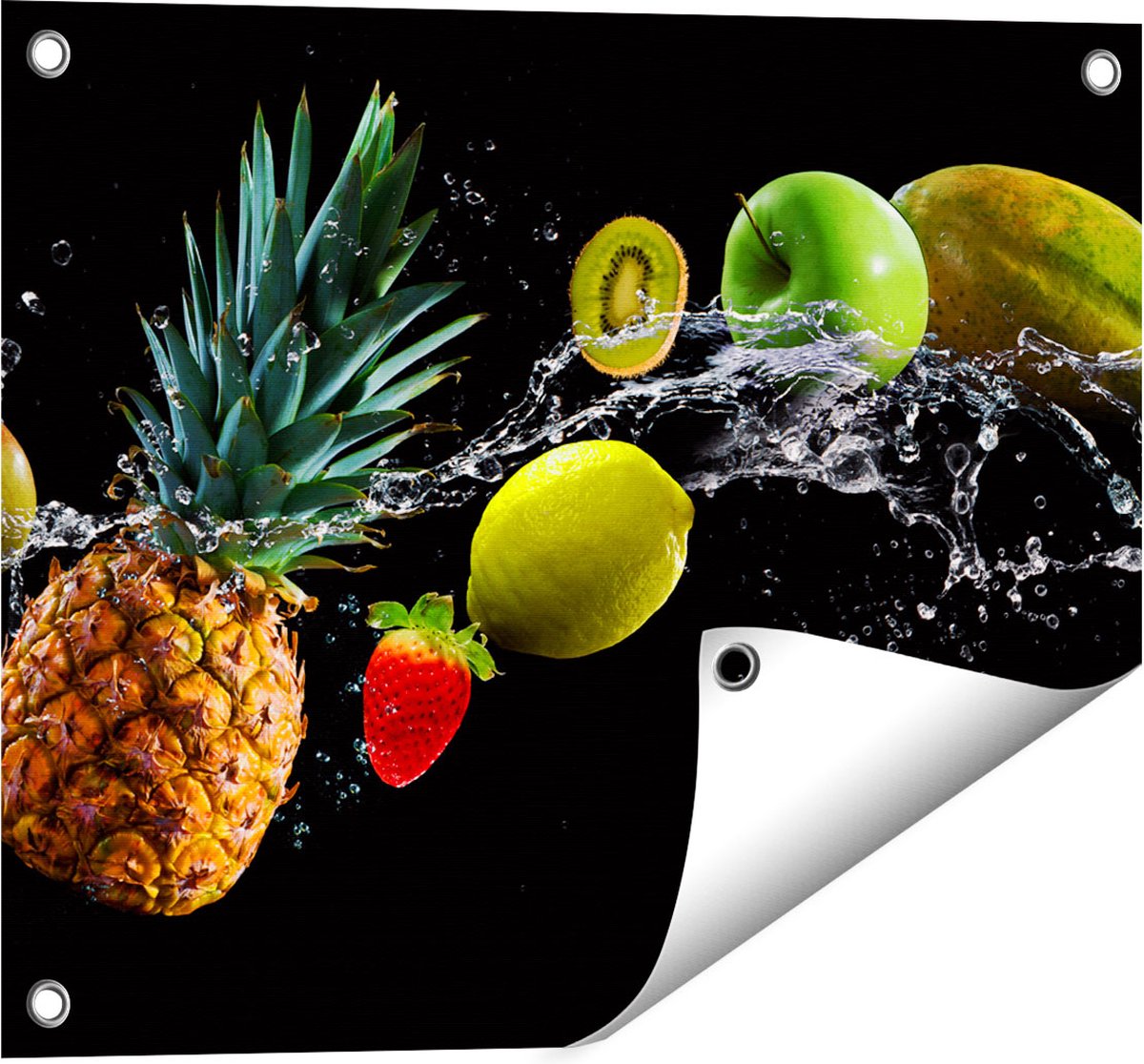 Gards Tuinposter Fruit met Water op Zwart Achtergrond - 50x40 cm - Tuindoek - Tuindecoratie - Wanddecoratie buiten - Tuinschilderij Multikleur