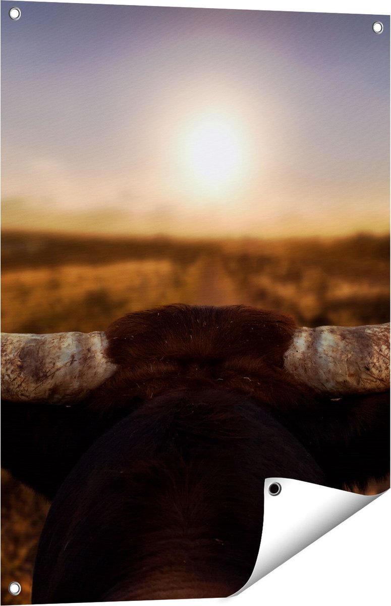 Gards Tuinposter Stierenhoorns bij Zonsondergang - 60x80 cm - Tuindoek - Tuindecoratie - Wanddecoratie buiten - Tuinschilderij Multikleur